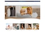 design a high converting shopify pet store for pet dropshipping and pet brand